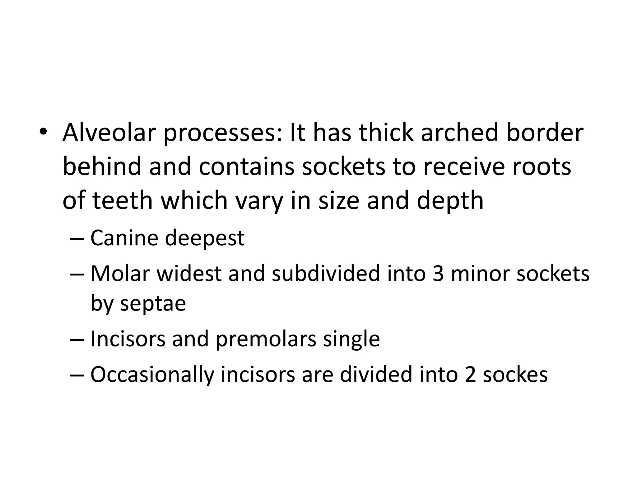 • Alveolar processes: It has thick arched border
behind and contains sockets to receive roots
of teeth which vary in size and depth
– Canine deepest
– Molar widest and subdivided into 3 minor sockets
by septae
– Incisors and premolars single
– Occasionally incisors are divided into 2 sockes
 