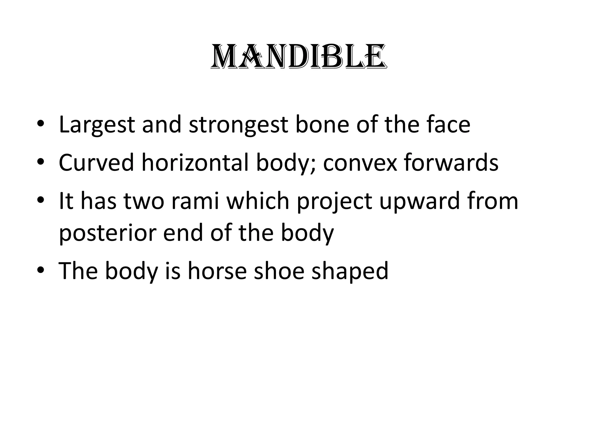 Mandible
• Largest and strongest bone of the face
• Curved horizontal body; convex forwards
• It has two rami which project upward from
posterior end of the body
• The body is horse shoe shaped
 