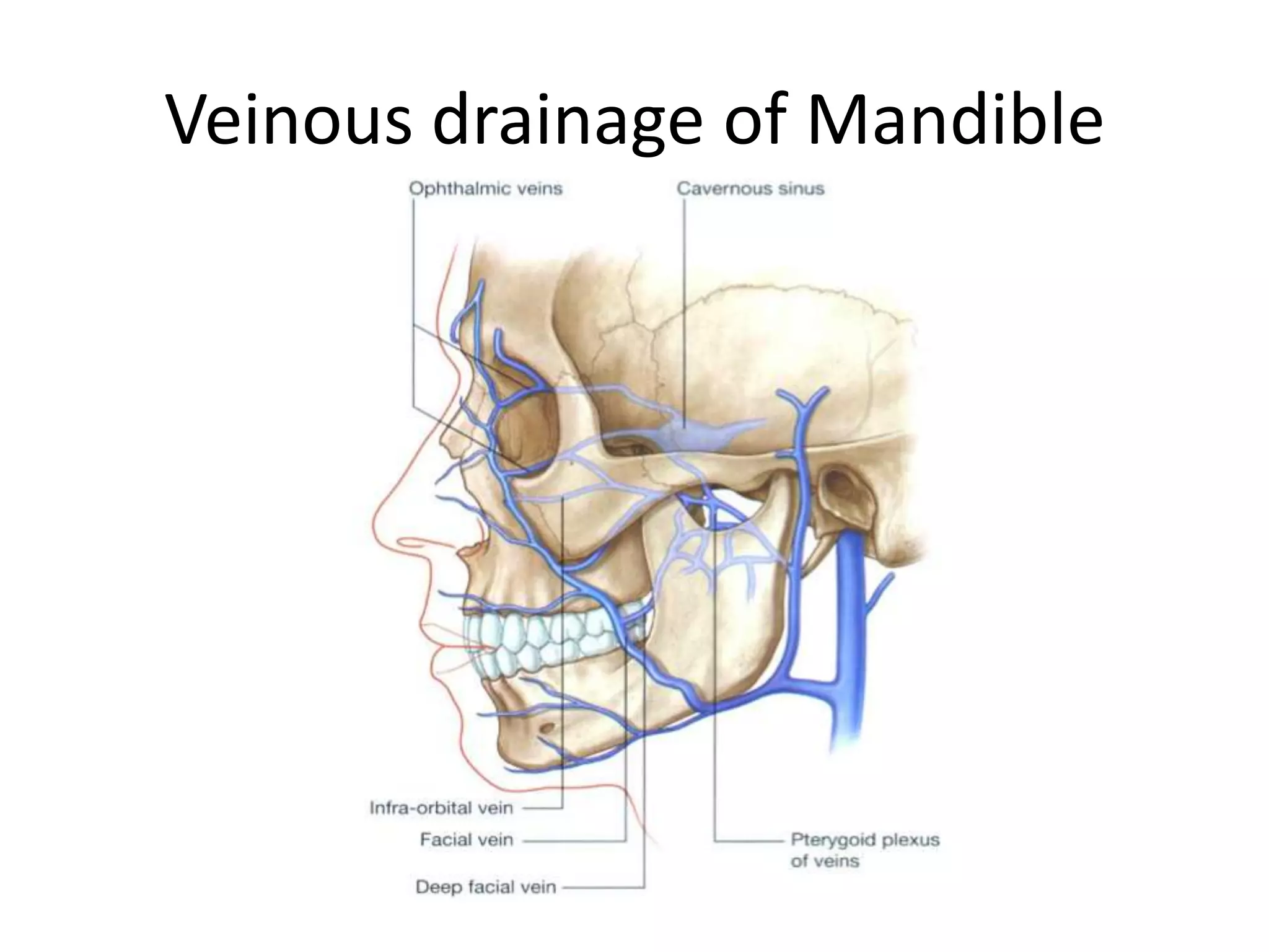 Veinous drainage of Mandible
 