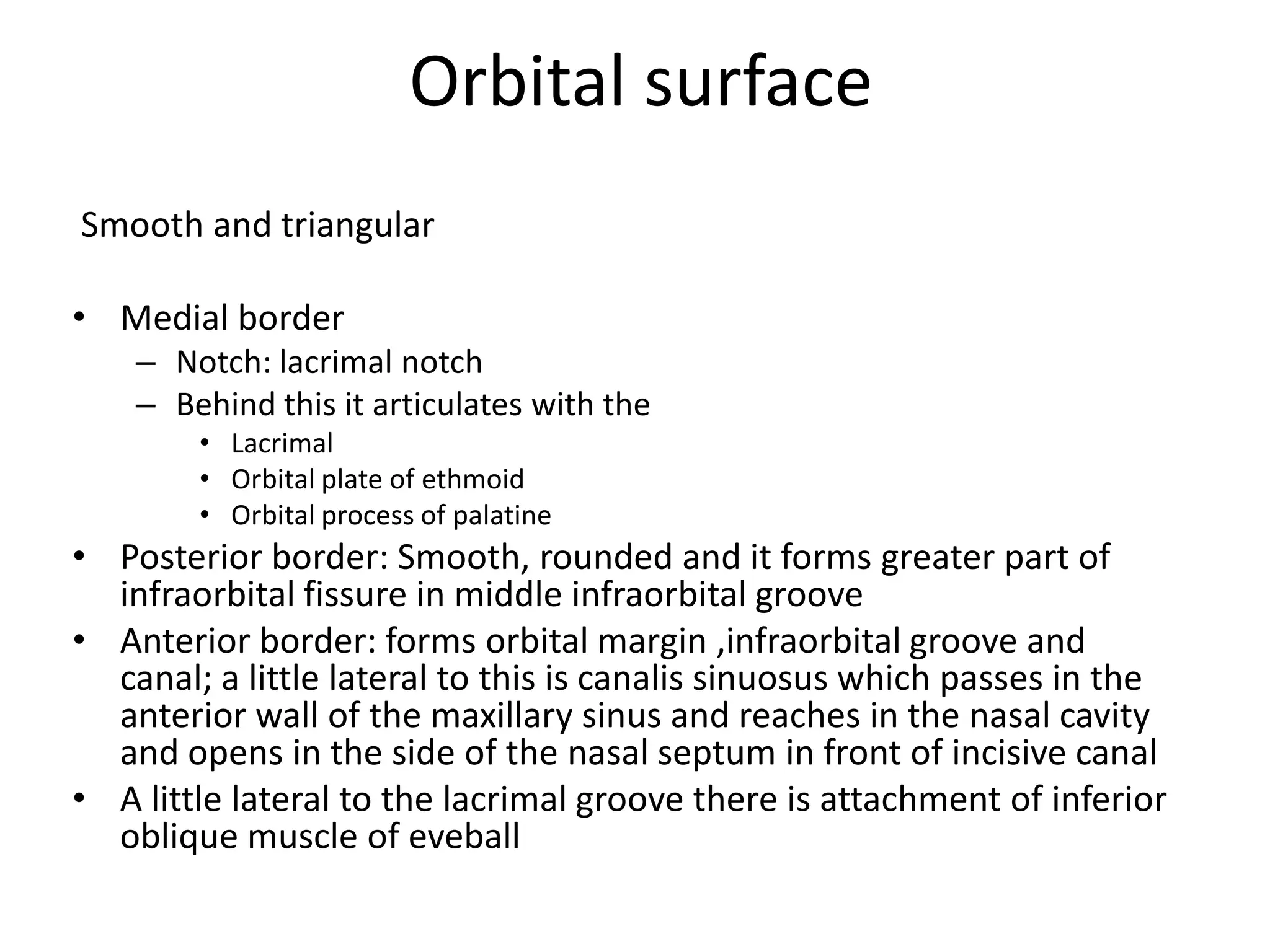 Orbital surface
Smooth and triangular
• Medial border
– Notch: lacrimal notch
– Behind this it articulates with the
• Lacrimal
• Orbital plate of ethmoid
• Orbital process of palatine
• Posterior border: Smooth, rounded and it forms greater part of
infraorbital fissure in middle infraorbital groove
• Anterior border: forms orbital margin ,infraorbital groove and
canal; a little lateral to this is canalis sinuosus which passes in the
anterior wall of the maxillary sinus and reaches in the nasal cavity
and opens in the side of the nasal septum in front of incisive canal
• A little lateral to the lacrimal groove there is attachment of inferior
oblique muscle of eveball
 