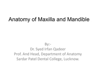Anatomy of Maxilla and Mandible
By:-
Dr. Syed Irfan Qadeer
Prof. And Head, Department of Anatomy
Sardar Patel Dental College, Lucknow.
 