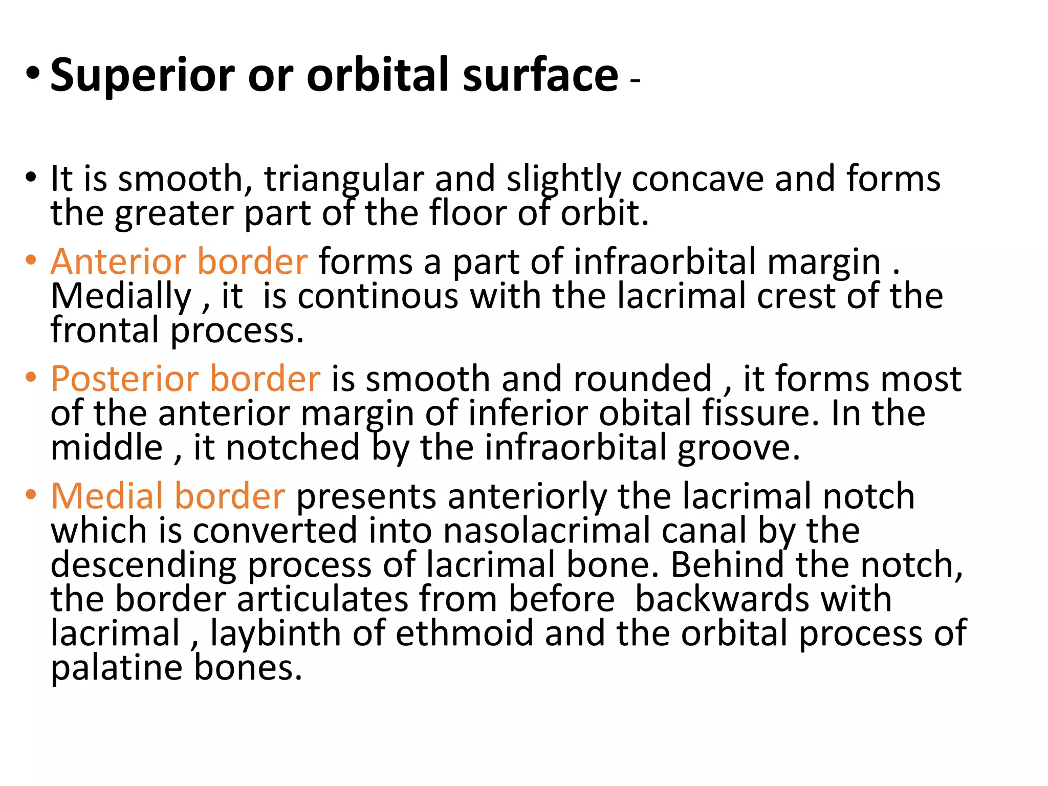 Anatomy of maxilla and mandible | PPTX