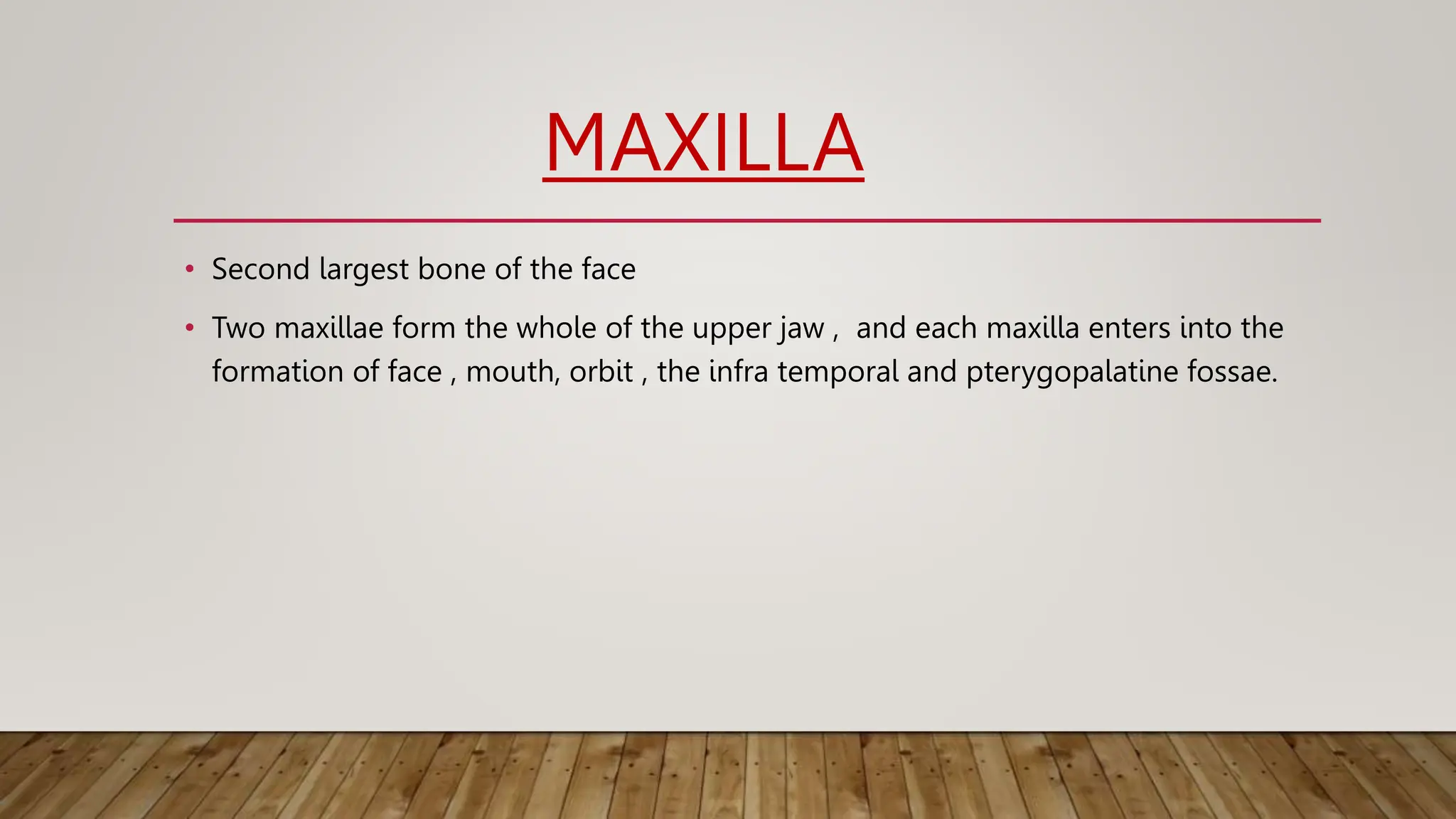 anatomy of maxilla oral and maxillofacial surgery topic OMFS | PPTX
