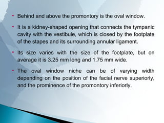 ANATOMY OF MIDDLE EAR CLEFT | PPT