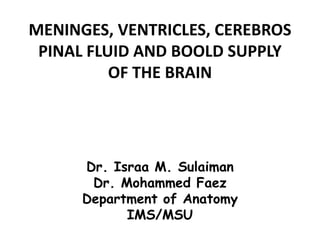 MENINGES, VENTRICLES, CEREBROS
 PINAL FLUID AND BOOLD SUPPLY
          OF THE BRAIN




      Dr. Israa M. Sulaiman
       Dr. Mohammed Faez
      Department of Anatomy
            IMS/MSU
 