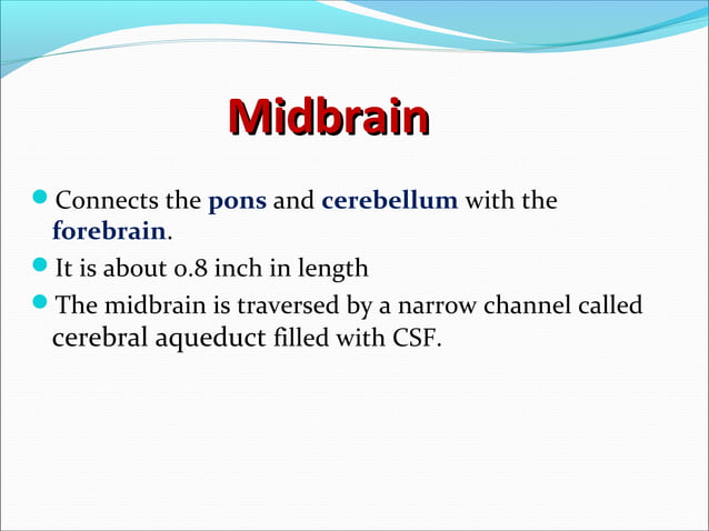 Anatomy of midbrain & pons | PPT | Brain and Nervous System Disorders ...