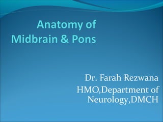 Dr. Farah Rezwana
HMO,Department of
Neurology,DMCH
 