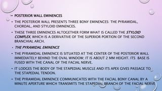 Pyramidal Prominence Anatomy of middle ear | PPTX