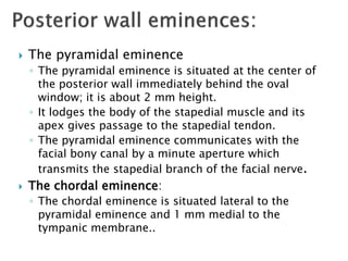 Pyramidal Prominence Anatomy of middle ear | PPTX