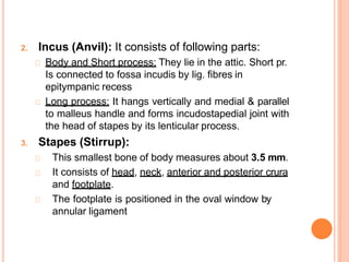 Anvil Shape Incus anatomy of middle ear.pptx
