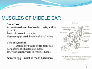 Anatomy of middle ear and its radiological correlation | PPTX