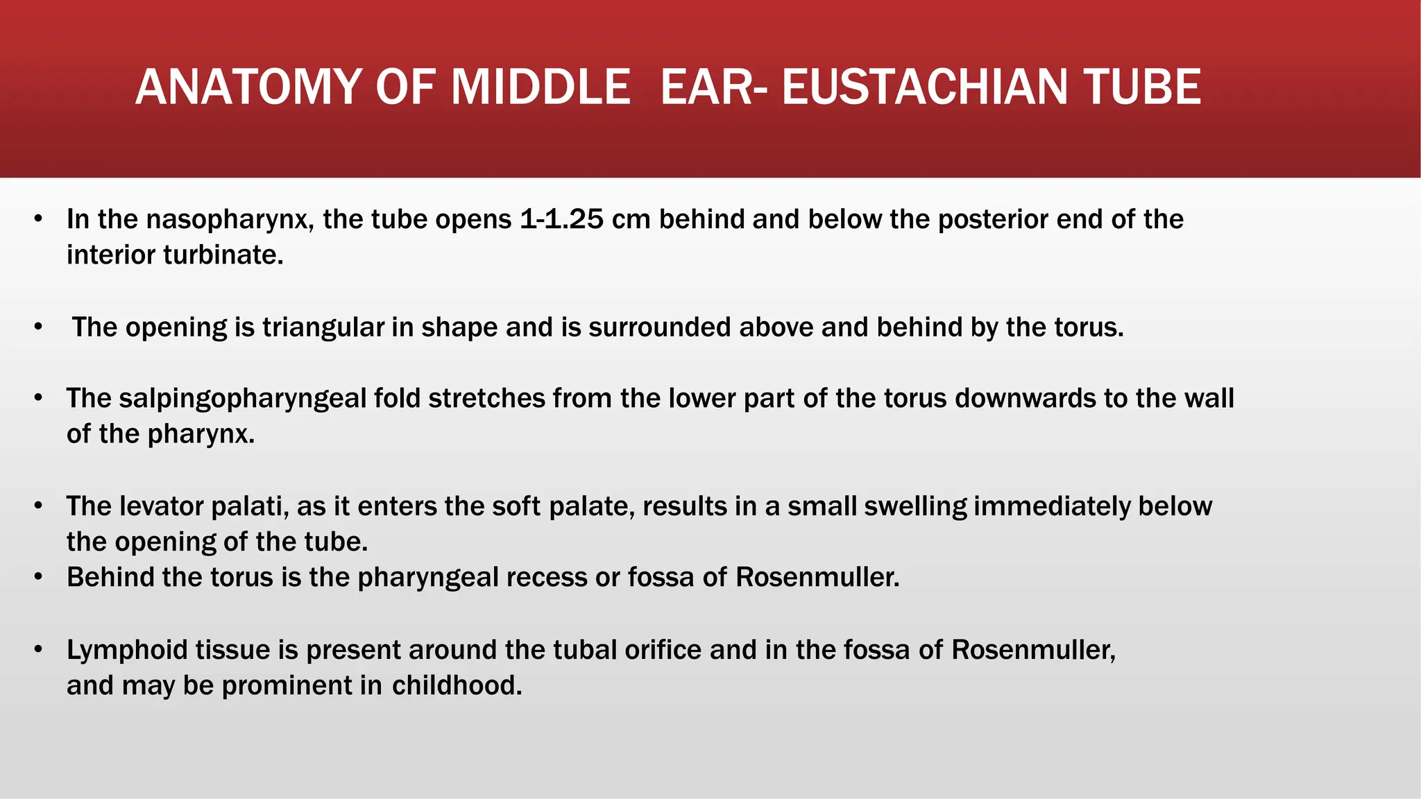 Midi Ear ANATOMY OF MID EAR and related structures.pptx