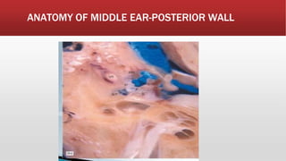 Midi Ear ANATOMY OF MID EAR and related structures.pptx