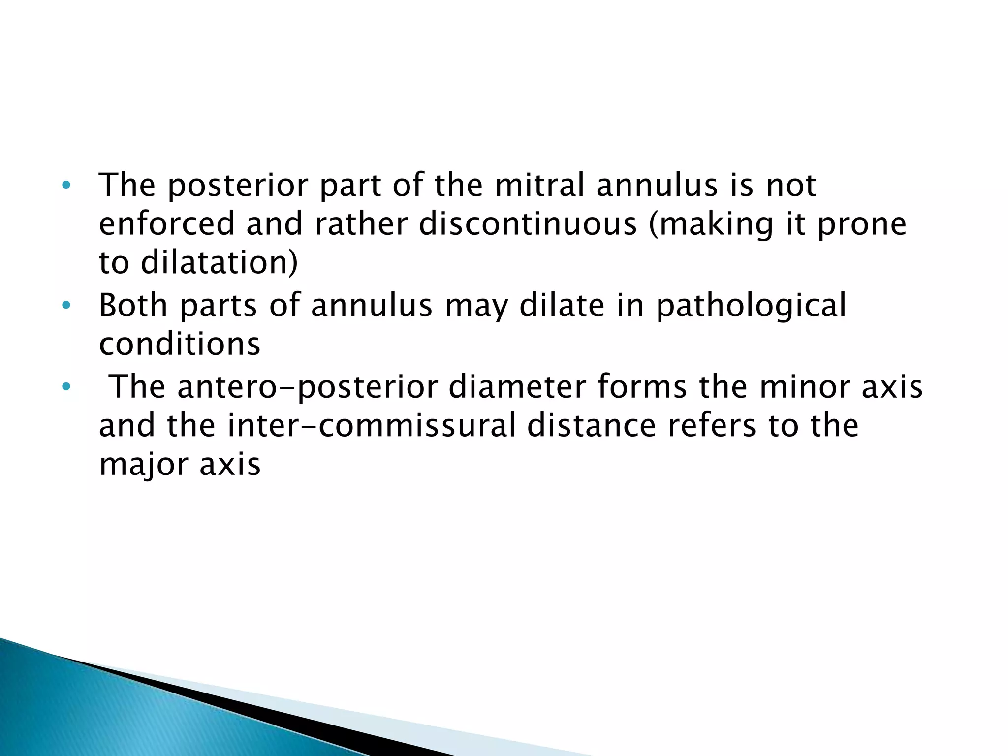 Anatomy of mitral valve echo evaluation | PPTX