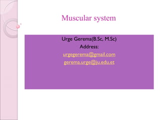 Muscular system
Urge Gerema(B.Sc, M.Sc)
Address:
urgegerema@gmail.com
gerema.urge@ju.edu.et
 