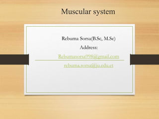 Muscular system
Rebuma Sorsa(B.Sc, M.Sc)
Address:
Rebumasorsa998@gmail.com
rebuma.sorsa@ju.edu.et
 