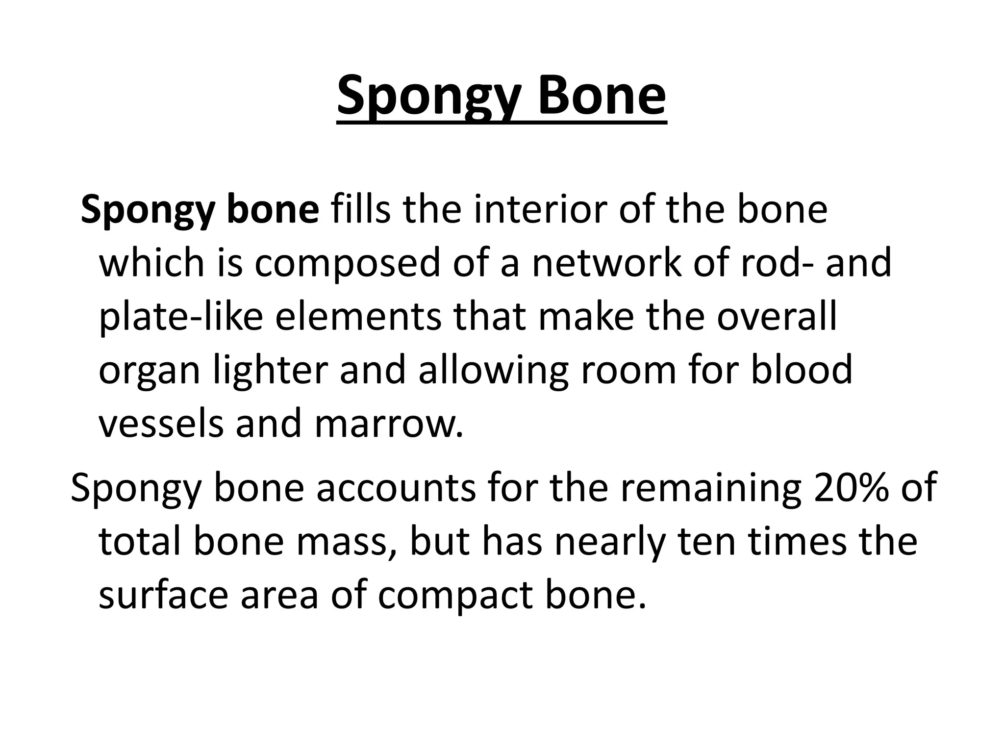 Spongy Bone
Spongy bone fills the interior of the bone
which is composed of a network of rod- and
plate-like elements that make the overall
organ lighter and allowing room for blood
vessels and marrow.
Spongy bone accounts for the remaining 20% of
total bone mass, but has nearly ten times the
surface area of compact bone.
 