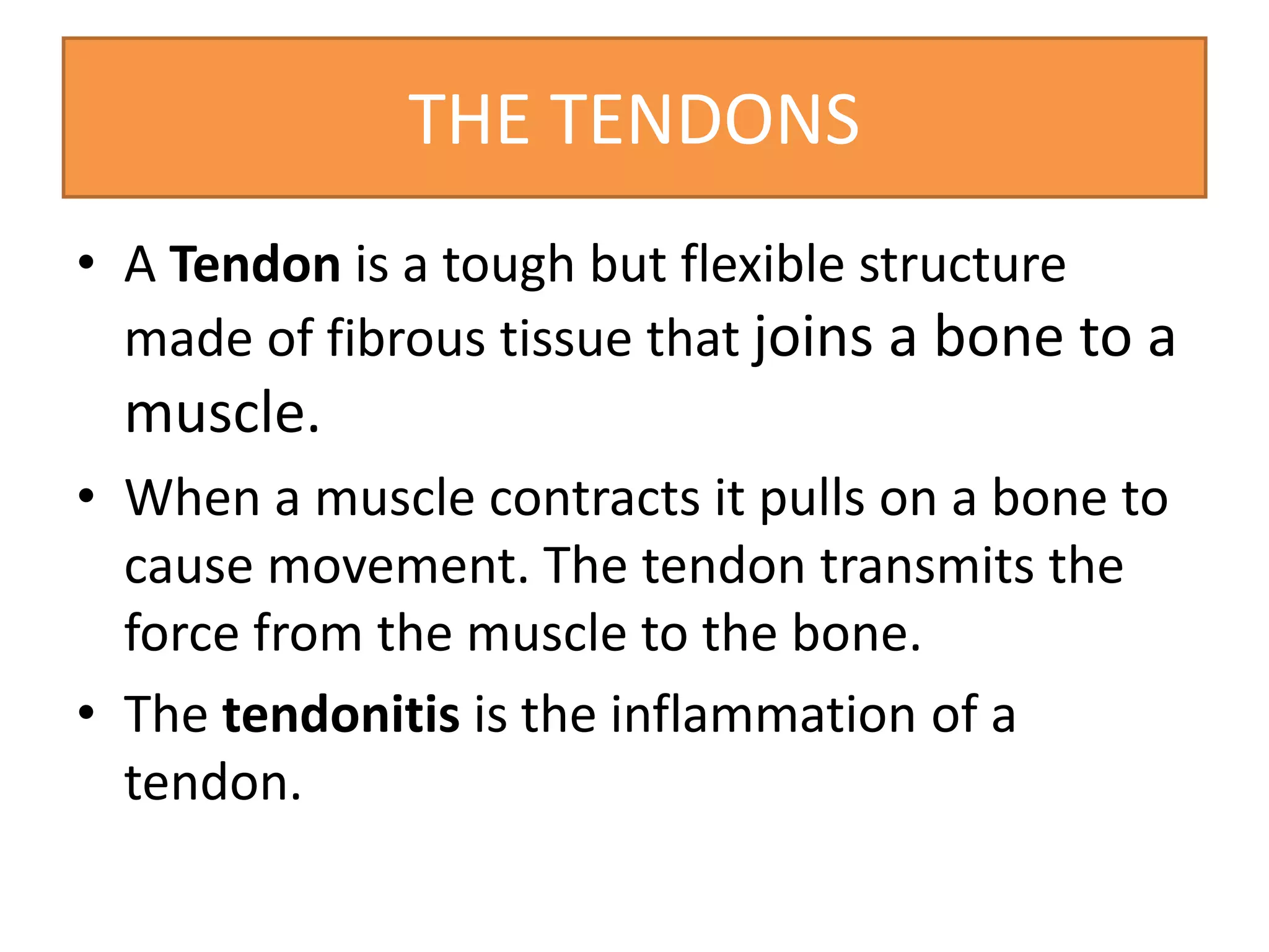THE TENDONS
• A Tendon is a tough but flexible structure
made of fibrous tissue that joins a bone to a
muscle.
• When a muscle contracts it pulls on a bone to
cause movement. The tendon transmits the
force from the muscle to the bone.
• The tendonitis is the inflammation of a
tendon.
 