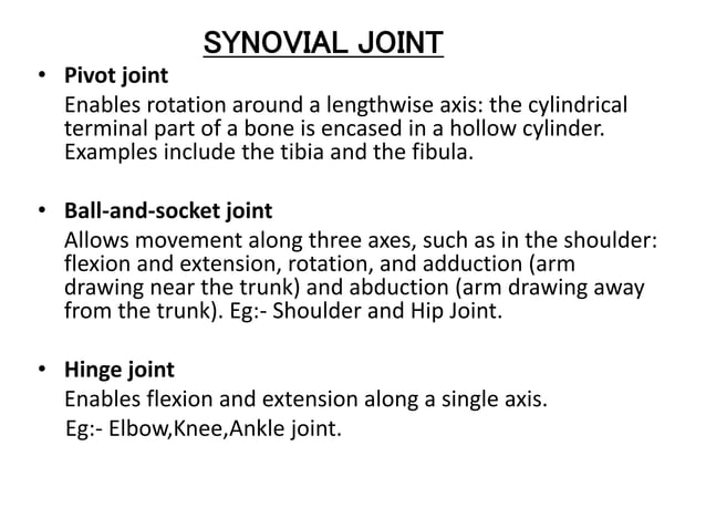 MUSCULOSKELETAL SYSTEM ANATOMY AND FUNCTION visual data 5
