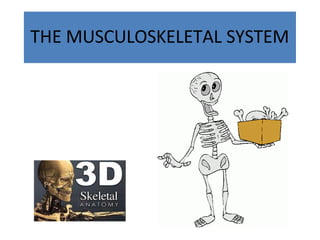 THE MUSCULOSKELETAL SYSTEM
 