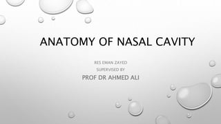 ANATOMY OF NASAL CAVITY
RES EMAN ZAYED
SUPERVISED BY
PROF DR AHMED ALI
 