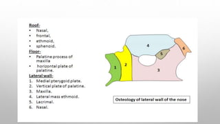 Anatomy of nasal cavity.pptx