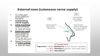 Anatomy of nasal cavity.pptx