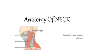 Anatomy Of NECK
Submitted by:- Sakshi Upadhyay
MPT Sports
 