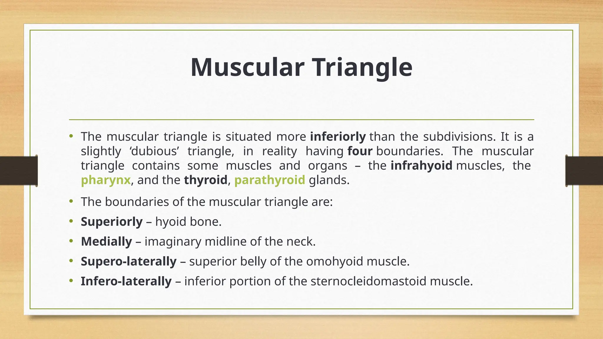ANATOMY OF NECK.pptx hhghj hhg hyy yyy yyy | PPTX