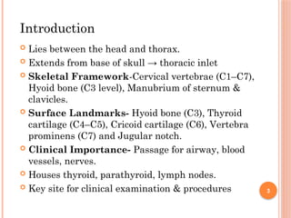 Comprehensive Clinical and Topographical Anatomy of the Neck and ...