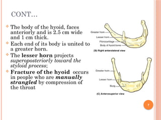Lesser Compression Comprehensive Clinical and Topographical Anatomy of the Neck and ...