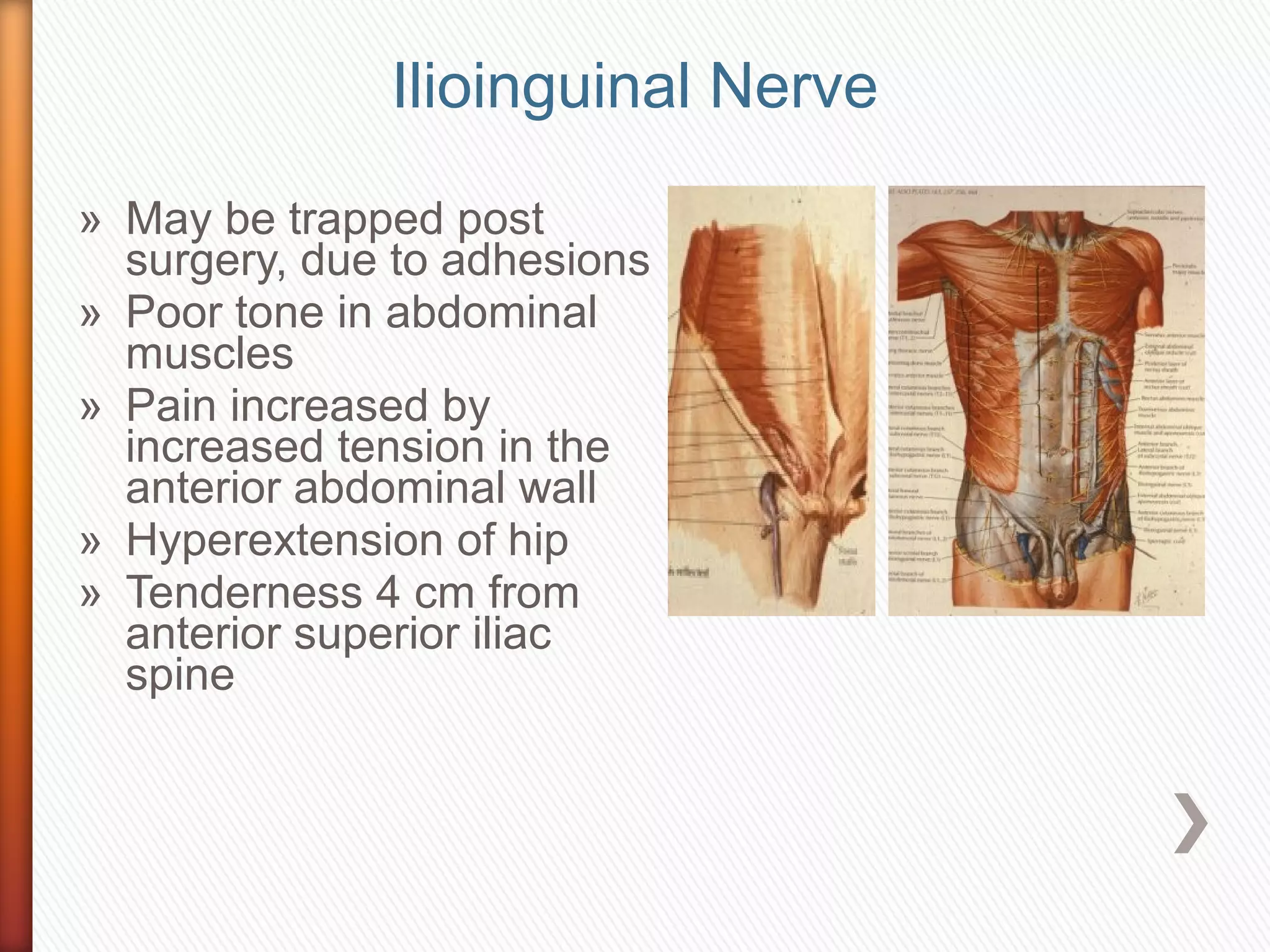 Anatomy of nerve_injuries_lower_limb | PPT