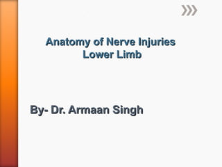 Anatomy of Nerve InjuriesAnatomy of Nerve Injuries
Lower LimbLower Limb
By- Dr. Armaan SinghBy- Dr. Armaan Singh
 