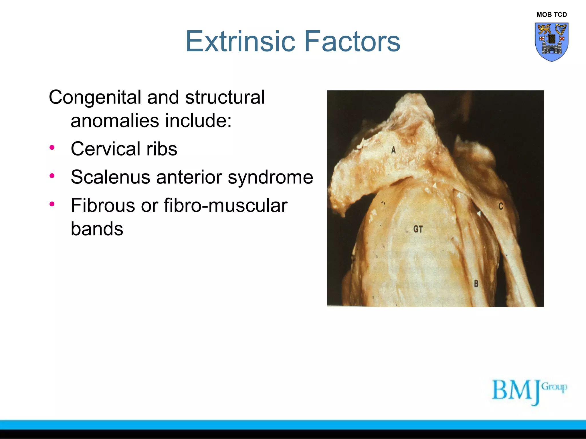 Anatomy of nerve injuries upper limb | PPT