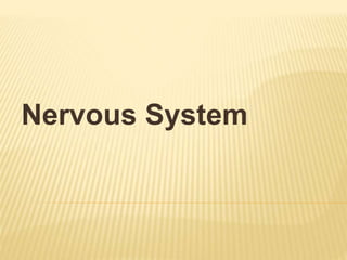 Nervous System
 