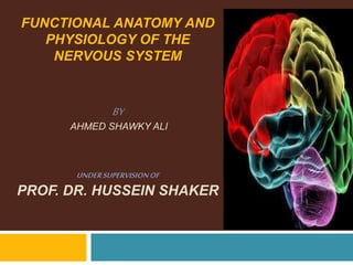 FUNCTIONAL ANATOMY AND
PHYSIOLOGY OF THE
NERVOUS SYSTEM
BY
AHMED SHAWKY ALI
UNDERSUPERVISIONOF
PROF. DR. HUSSEIN SHAKER
 