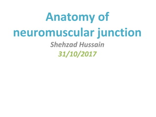 Anatomy of
neuromuscular junction
Shehzad Hussain
31/10/2017
 