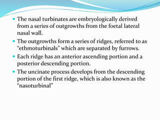 Anatomy of nose | PPTX