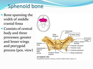 Anatomy of nose | PPTX