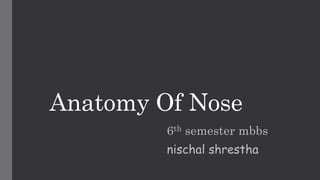 Anatomy Of Nose
6th semester mbbs
nischal shrestha
 