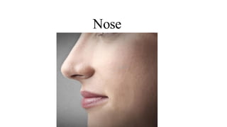 Nose
 