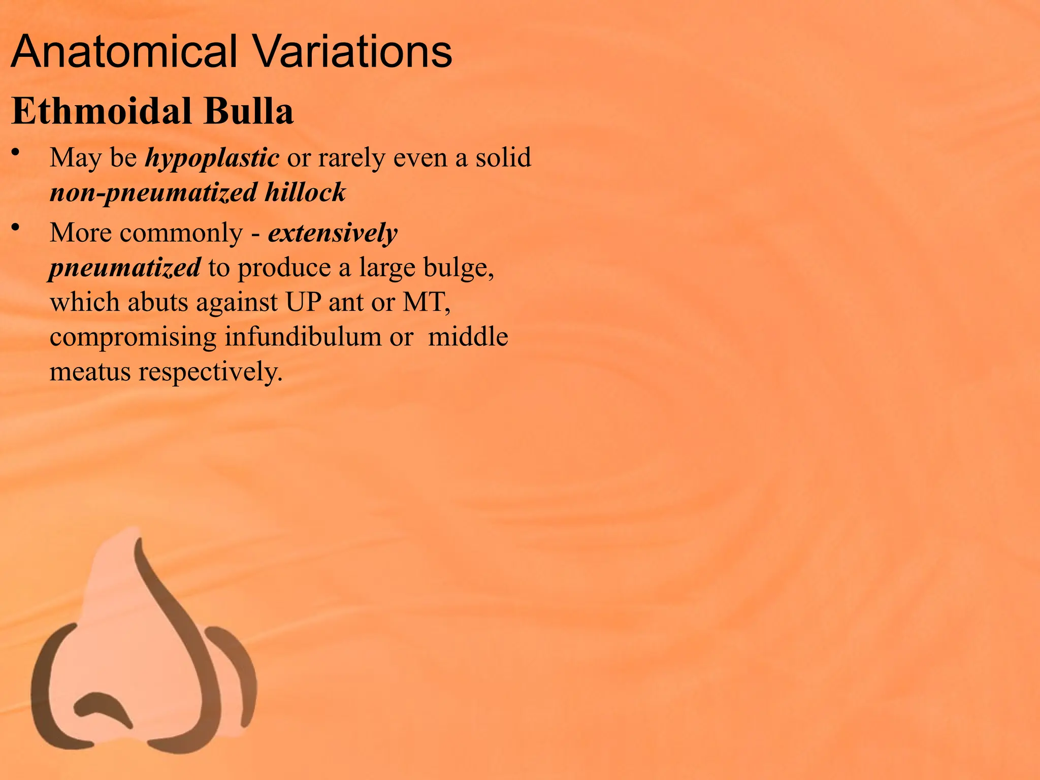 Anatomical Variations
Ethmoidal Bulla
• May be hypoplastic or rarely even a solid
non-pneumatized hillock
• More commonly - extensively
pneumatized to produce a large bulge,
which abuts against UP ant or MT,
compromising infundibulum or middle
meatus respectively.
 