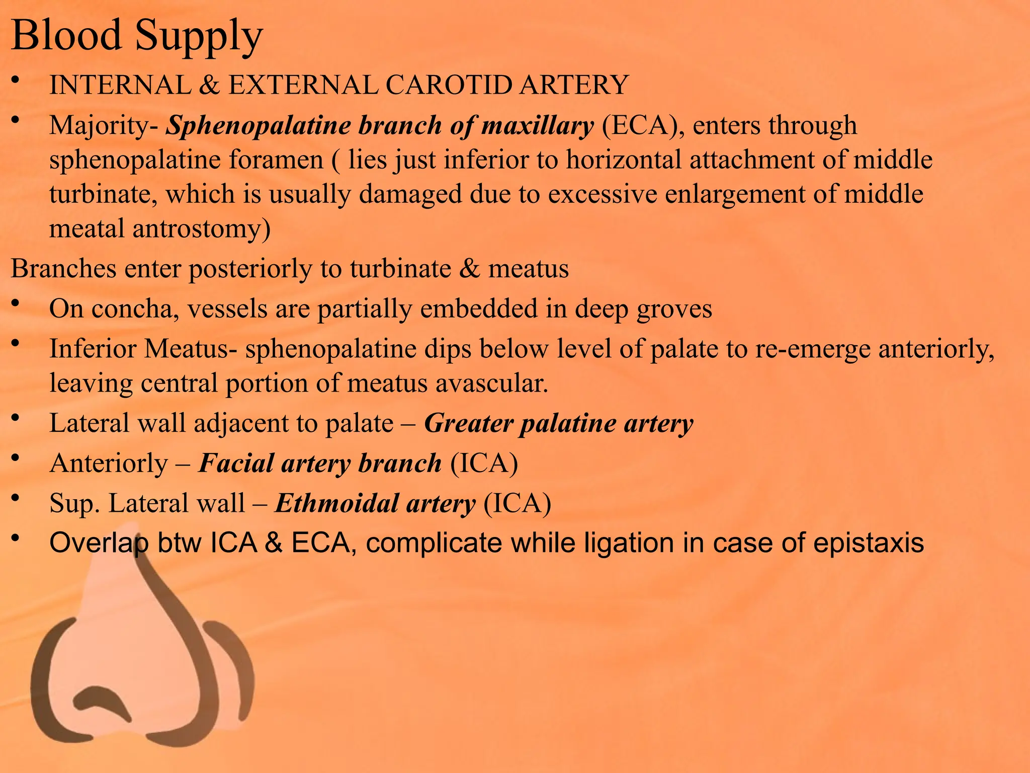 Blood Supply
• INTERNAL & EXTERNAL CAROTID ARTERY
• Majority- Sphenopalatine branch of maxillary (ECA), enters through
sphenopalatine foramen ( lies just inferior to horizontal attachment of middle
turbinate, which is usually damaged due to excessive enlargement of middle
meatal antrostomy)
Branches enter posteriorly to turbinate & meatus
• On concha, vessels are partially embedded in deep groves
• Inferior Meatus- sphenopalatine dips below level of palate to re-emerge anteriorly,
leaving central portion of meatus avascular.
• Lateral wall adjacent to palate – Greater palatine artery
• Anteriorly – Facial artery branch (ICA)
• Sup. Lateral wall – Ethmoidal artery (ICA)
• Overlap btw ICA & ECA, complicate while ligation in case of epistaxis
 