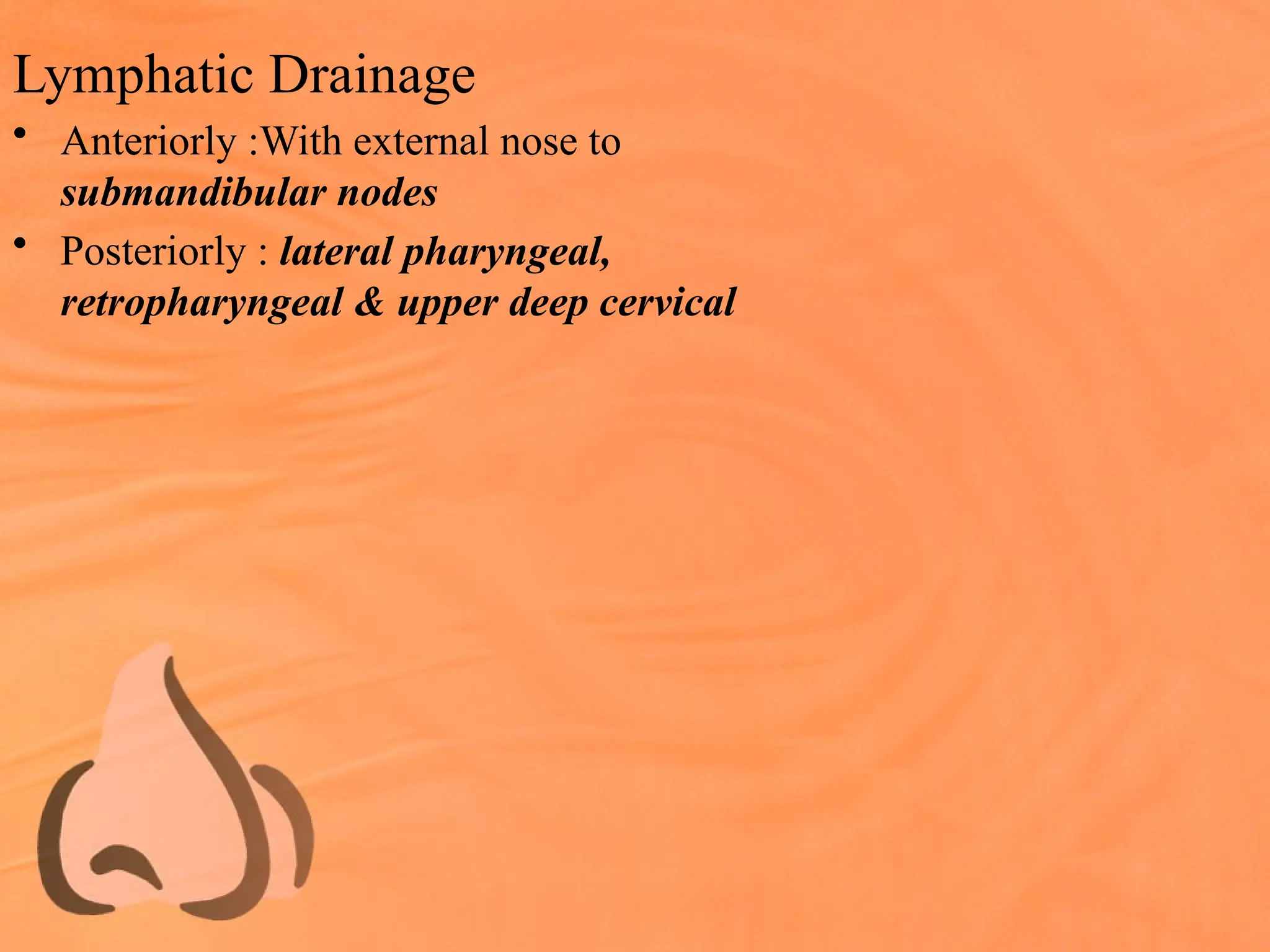 Lymphatic Drainage
• Anteriorly :With external nose to
submandibular nodes
• Posteriorly : lateral pharyngeal,
retropharyngeal & upper deep cervical
 
