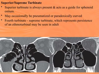 ANATOMY of NOSE power point presentation | PPTX