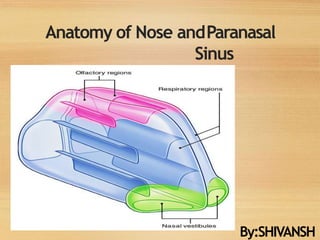 Anatomy of Nose andParanasal
Sinus
By:SHIVANSH
 