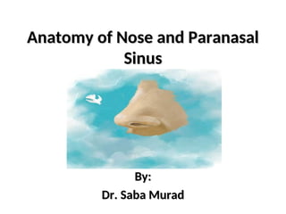 Comprehensive Anatomy and Clinical Overview of the Nose and Paranasal ...