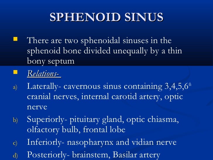 Anatomy Of Nose And Paranasal Sinuses
