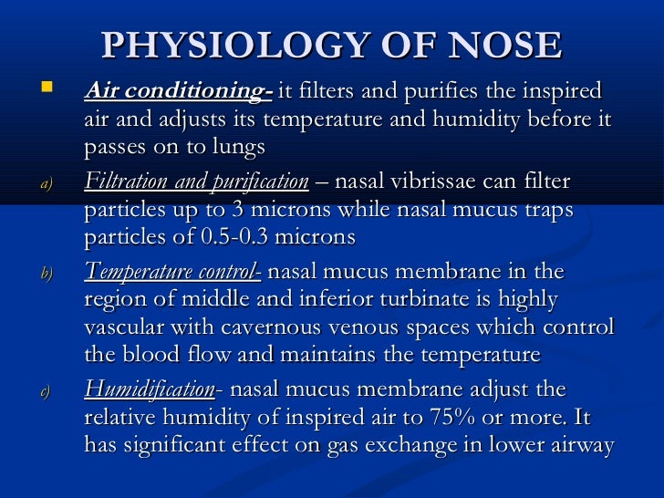 Anatomy Of Nose And Paranasal Sinuses