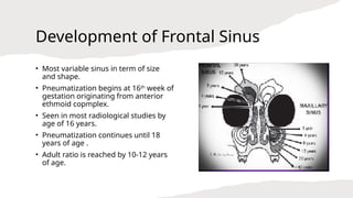 Frontal Sinus Development Anatomy of Nose and Paranasal sinuses.-Dr Vijay-Aiims kalyani.pptx